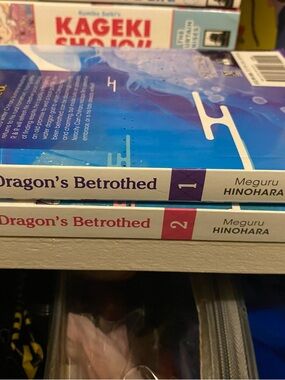 Dragon's Betrothed Volume 1 by Meguru Hinohara - Blue & Purple Cover